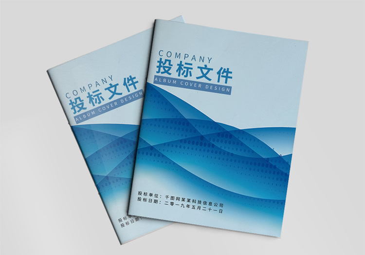 12智能信息化工程招投标标书封面