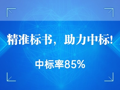 精准标书，助力中标！