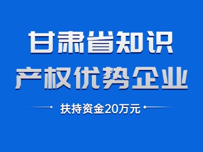 甘肃省知识产权优势企业认定
