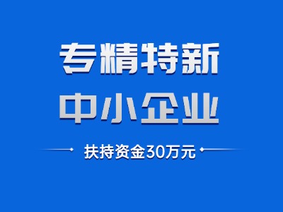 专精特新中小企业认定